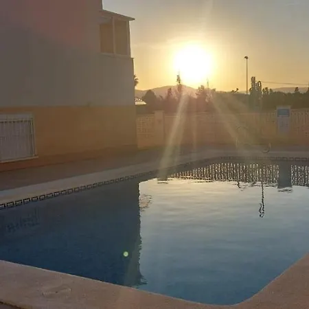 Amanacer Oliva
